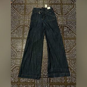Express wide leg jeans